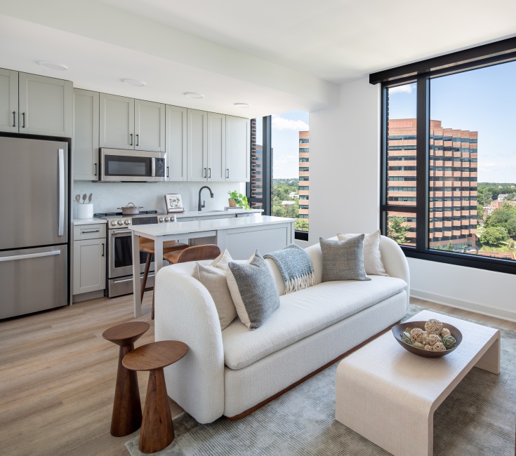Modern  kitchen and living spaces